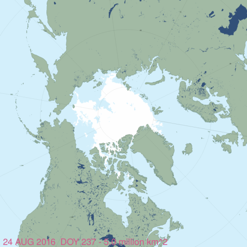 masie_all_zoom_4km-2016-aug-24