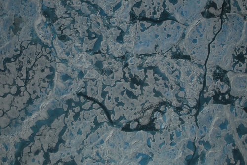 sea-ice_melt-ponds_nasa-taken-13july2016_sm