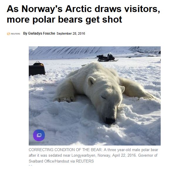svalbard-more-visitors-more-bears-shot_28-sept-2016-yahoo