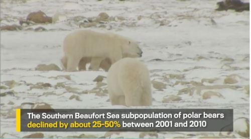 What to know about pbs GW_Video_screencap 3 corrected_2 Sept 2016