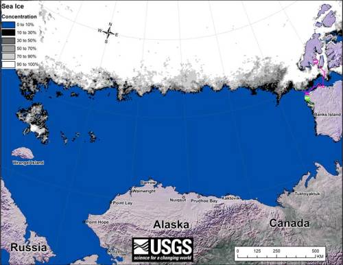 beaufort-tracking-usgs-bear-movements-september-2016-sm