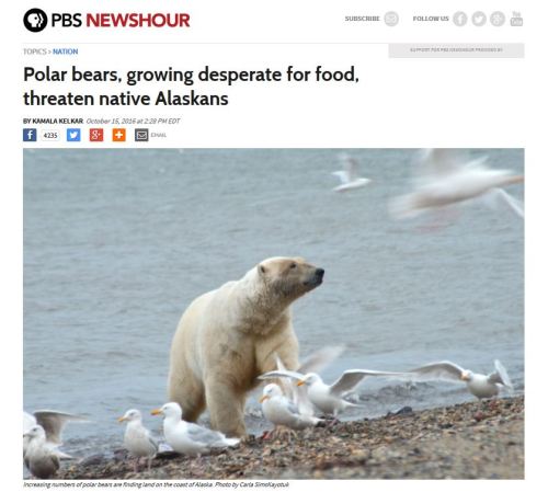 pbs-newshour-headline_15-october-2016