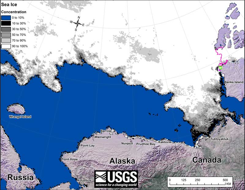 beaufort-tracking-usgs-bear-movements-october-2016-sm