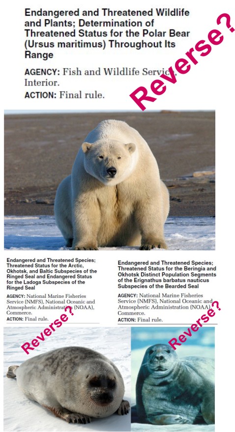 future-of-arctic-species-status-under-trump-presidency-9-nov-2016