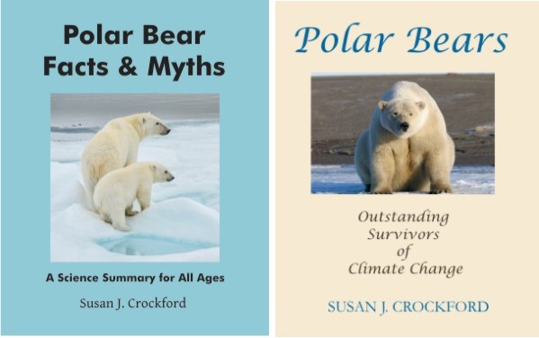 os-and-fm-cover-drafts-14-dec-2016