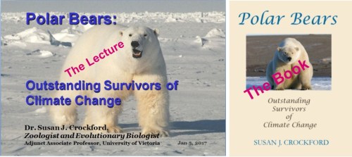 crockford_outstanding-survivors_lecture-vs-book-jan-2017