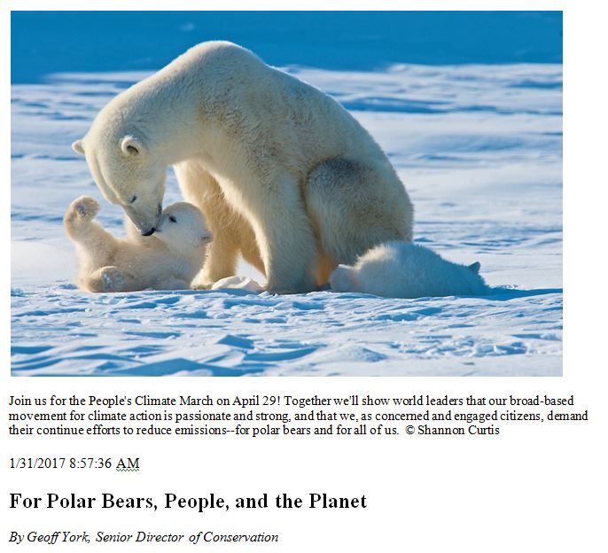 2017-peoples-climate-march-in-april-for-polar-bears-pbi-plea