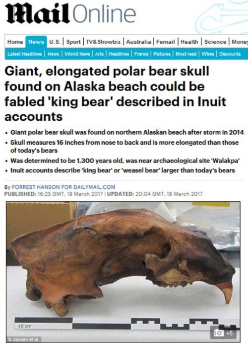 Weasel bear headline with skull graphic 18 March 2017