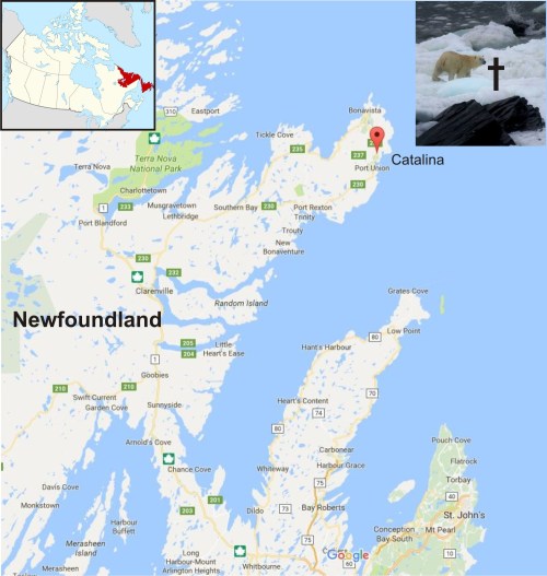 Catalina map and bear shot location Nfld