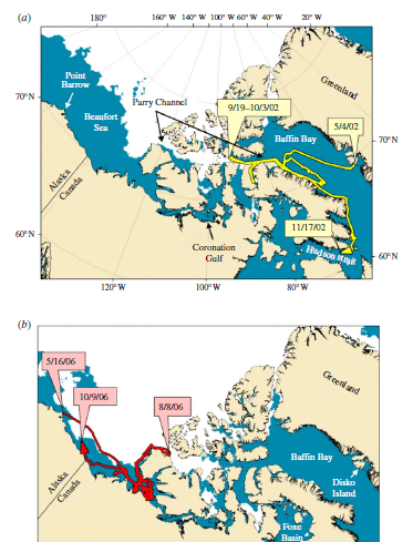 Heide-Jorgensen et al 2011 fig1 a_b