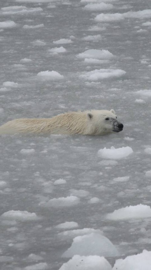 Little Catalina pb 8 April 2017 Brandon Collins_The Pilot