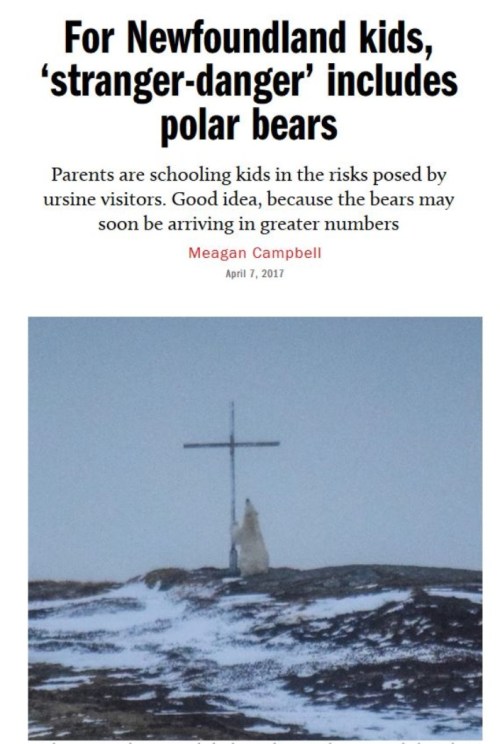 Macleans 7 April 2017 polar bear headline with photo_sized