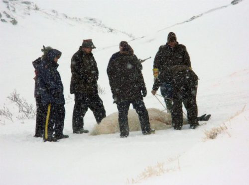 police_surround_deadbear_THE STAR_6 April 2012