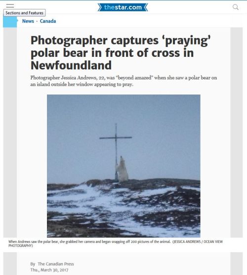 Wesleyville nfld praying bear_THE STAR 30 March 2017 headline