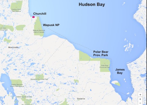Wapusk Nat Park_Hudson Bay_Google maps_w Churchill