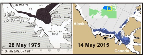 Bathurst polynya_1975 vs 2015_PolarBearScience