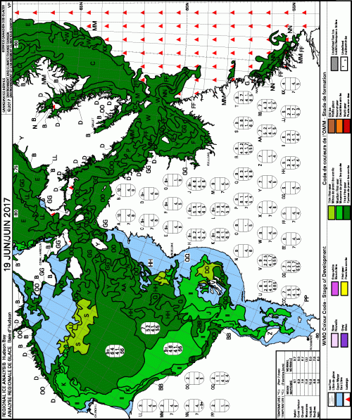 Hudson Bay weekly ice stage of development 2017 June 19