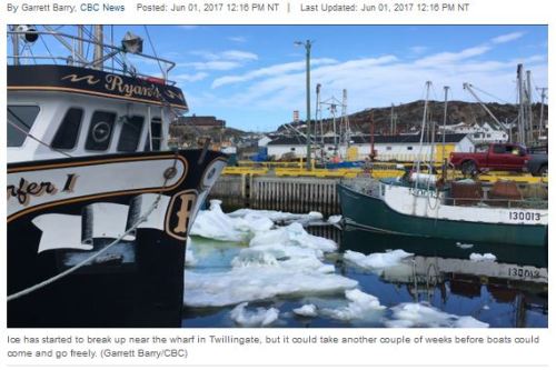 Twillingate fisherman trapped by ice CBC 1 June 2017