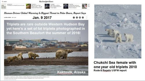 Crockford 2017_Slide 15 screencap