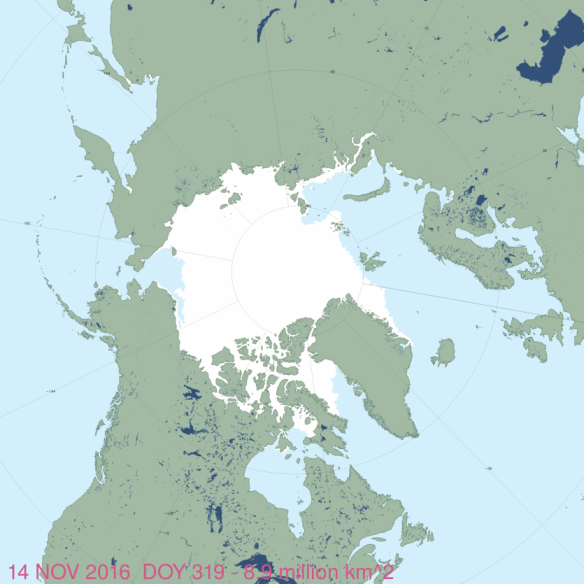Fat healthy polar bear update: hundreds of not-starving bears