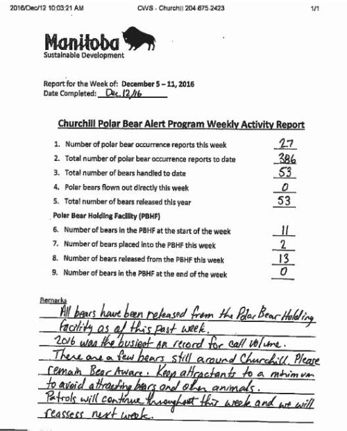 Bear Stats Dec 12 2016