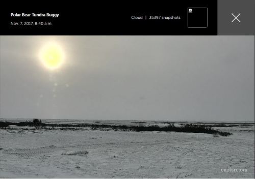 Churchill on 7 Nov 2017_Explore dot org