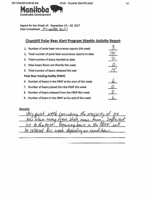 Churchill Polar bear alert report Nov 13-19_Nov 20 released