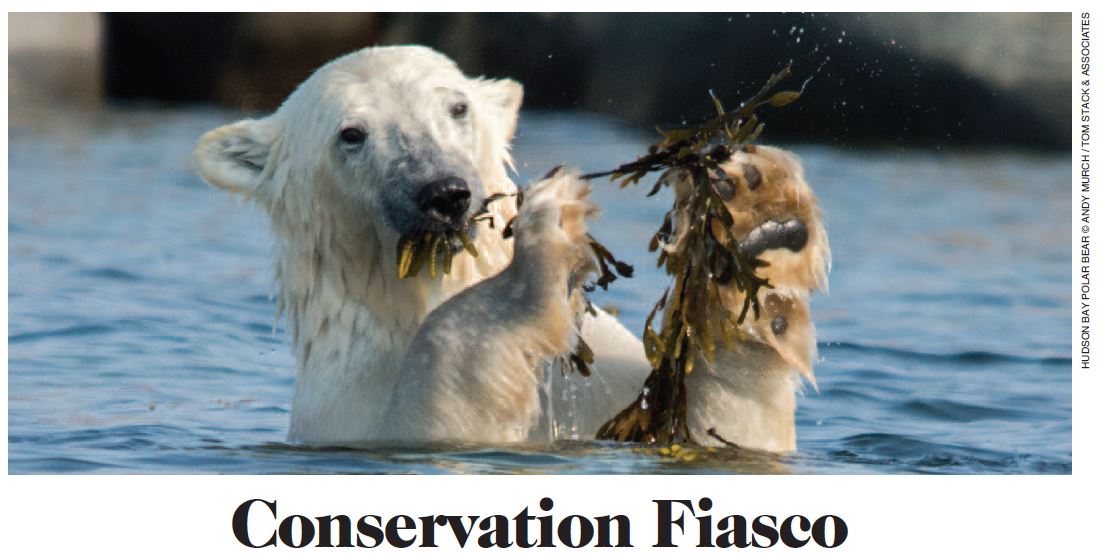 Conservation Fiasco_lead photo_WINTER 2017 RANGE