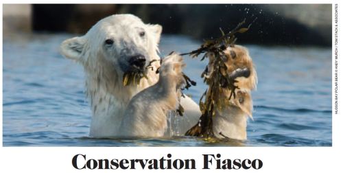 Conservation Fiasco_lead photo_WINTER 2017 RANGE