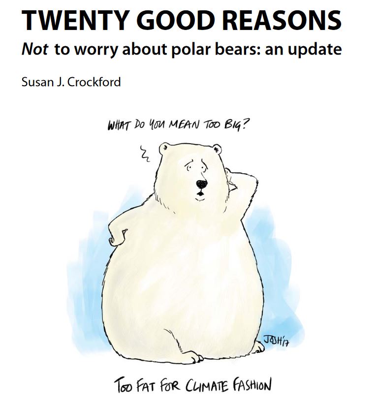 Cover image_Twenty Reasons_polarbearscience