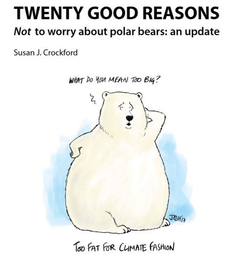 Cover image_Twenty Reasons_polarbearscience