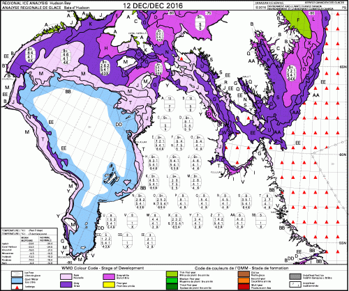 Hudson Bay weekly concentration 2016 Dec 12