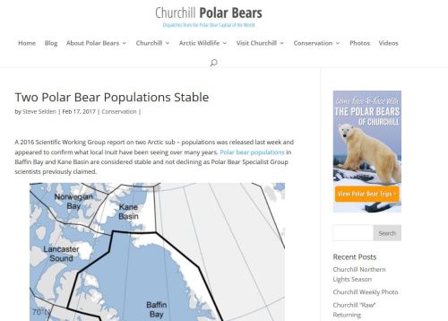 Churchill polar bears blog headline 17 Feb 2017