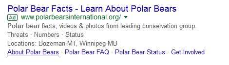 PBI Google ad_7 Jan 2018 learn about polar bears
