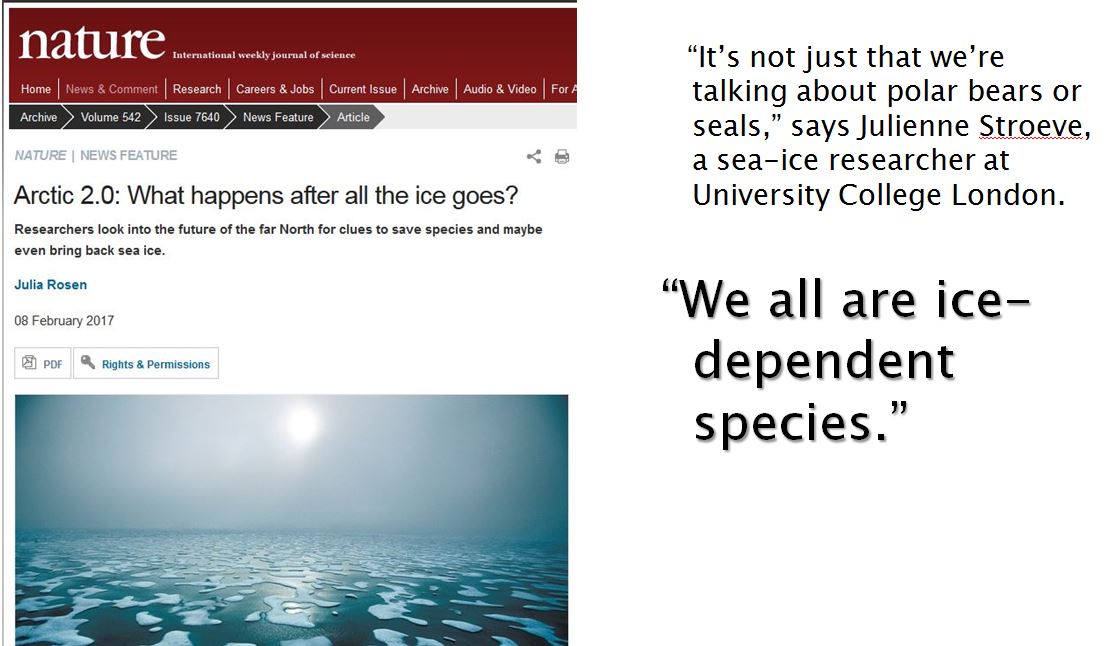 Stroeve 2017 we are all ice dependent species