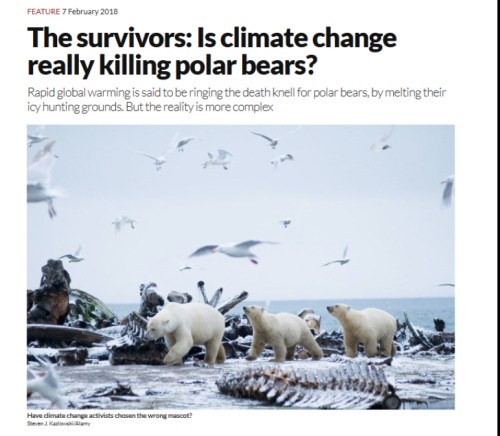 New Scientist headline_10 Feb 2018 issue 3164 photo