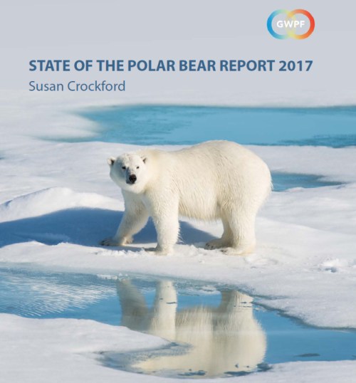 State of Polar Bear Report cover_12 Feb 2018 image