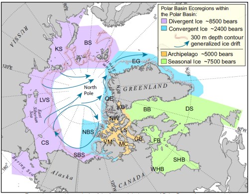 Amstrup et al 2011 fig 1 ecoregions_lg