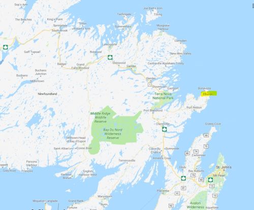 Elliston Bonavista Peninsula Newfoundland location Google maps