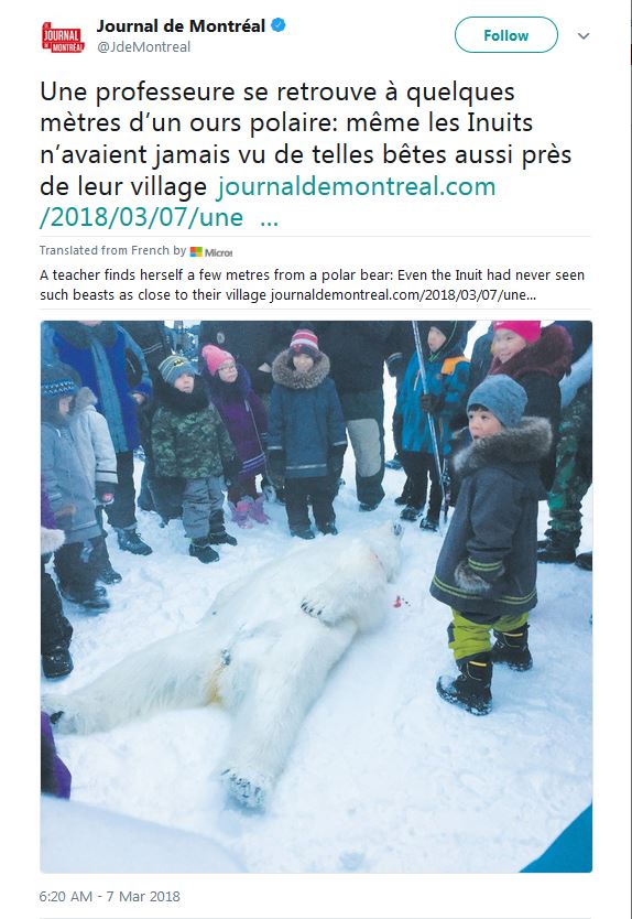 puvirnituq_tweet-polar-bear_7-march-2018_translated.jpg