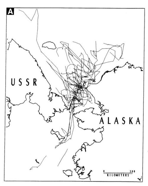 Garner et al 1990 Chukchi and Bering sea PBs Fig 3A April May