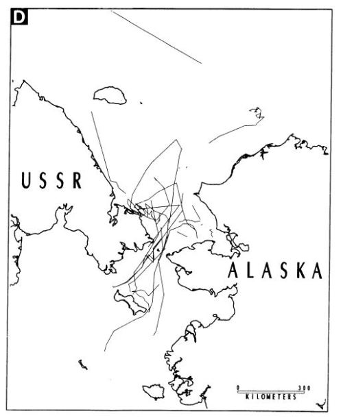 Garner et al 1990 Chukchi and Bering sea PBs Fig 3D Jan-March