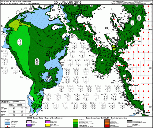 Hudson Bay ice age weekly at 20 June 2016