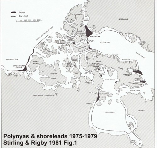 Polynyas and shore leads_Smith and Rigby 1981