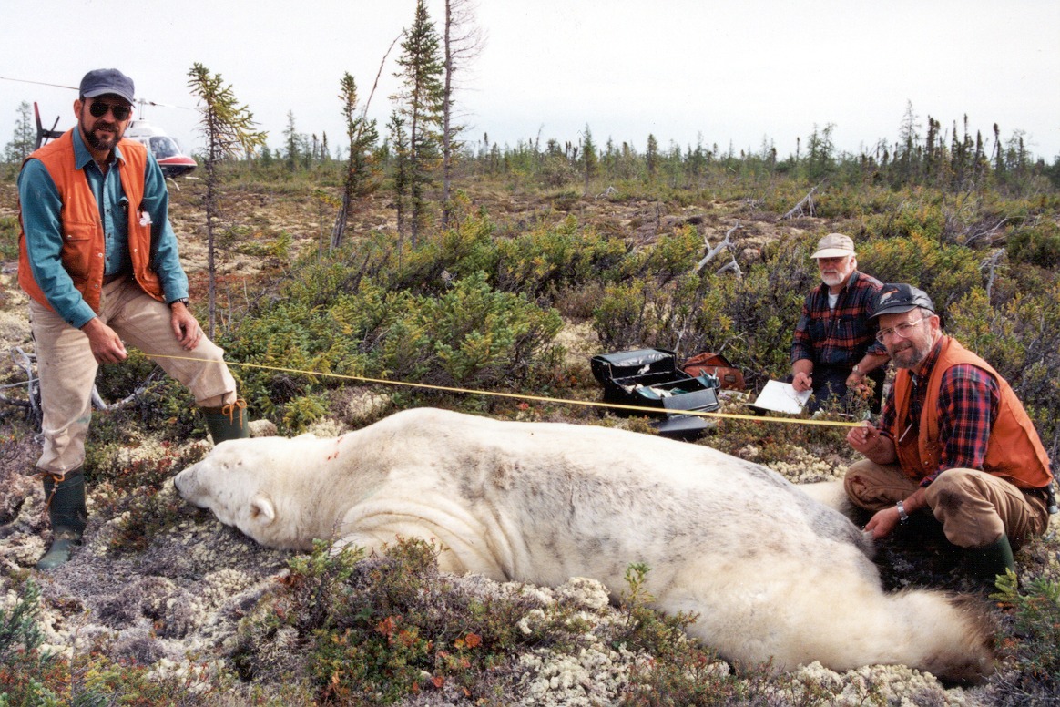 DA-IS-measuring_Ian Stirling