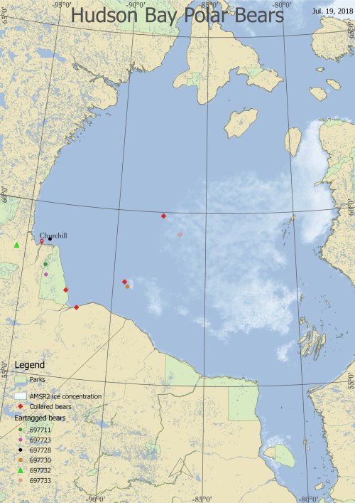Derocher 19 July 2018 position of collared females on Hudson Bay