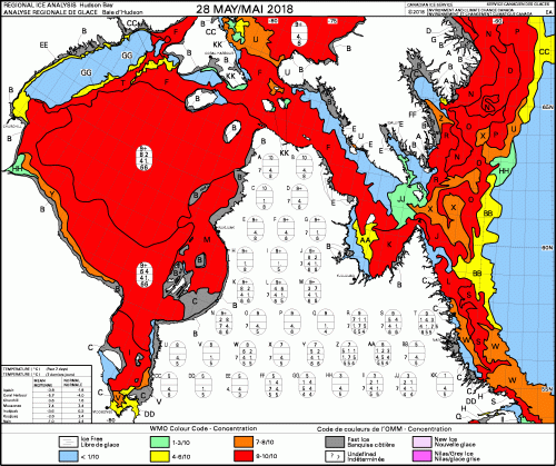 Hudson Bay weekly concentration 2018 May 28