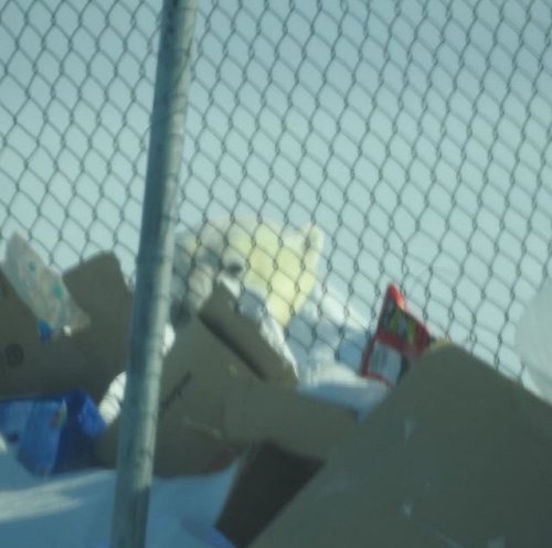 Polar bear outside Arviat dump April 11 2018 one of four spotted that day_Gordy Kidlapik