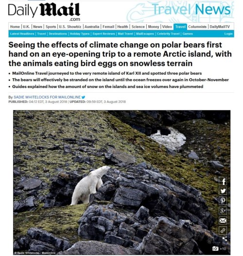 Daily Mail stranded bear headline_3 Aug 2018 all