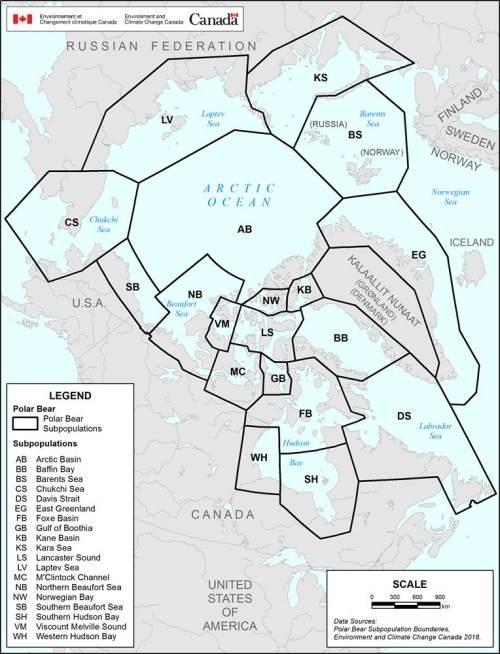 Polar bear subpopulation map EC 2018